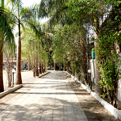 dessiterra 400x400 3