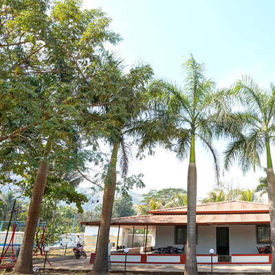 dessiterra 400x400 9